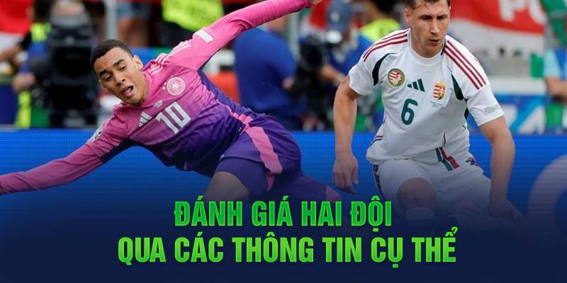 danh-gia-hai-doi-qua-cac-thong-tin-cu-the