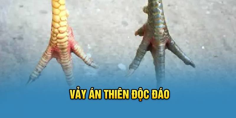 vay-an-thien-doc-dao