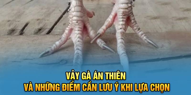 vay-ga-an-thien-va-nhung-diem-can-luu-y-khi-lua-chon